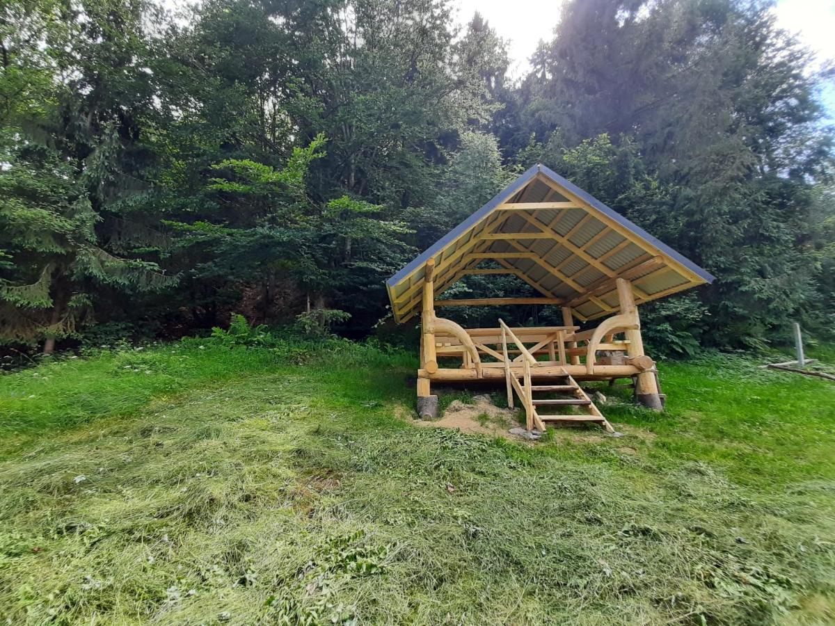 Під Боржавою Pilipets Exterior photo