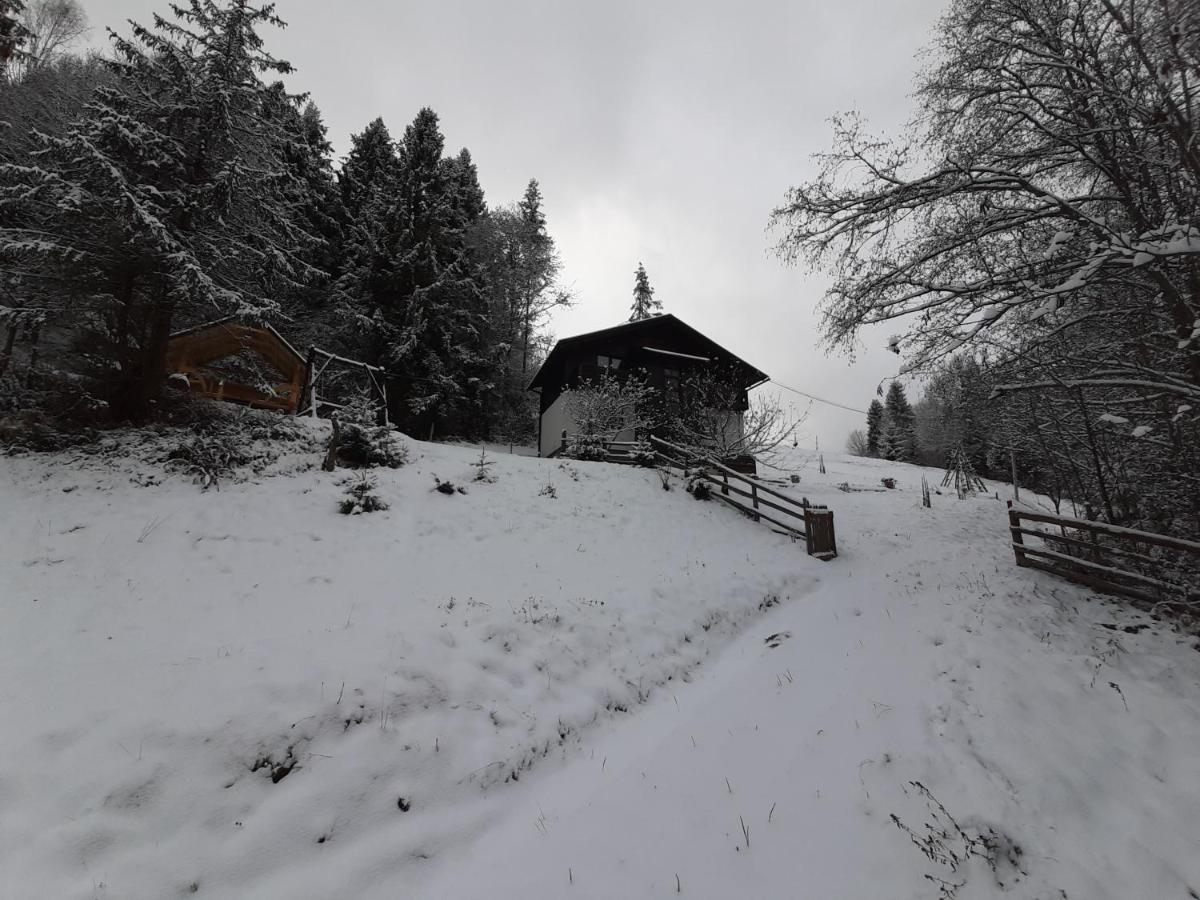 Під Боржавою Pilipets Exterior photo